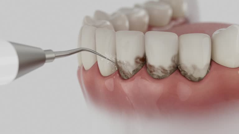 Reliable Dental contractor in Bangor, ME by Dentist Open Now